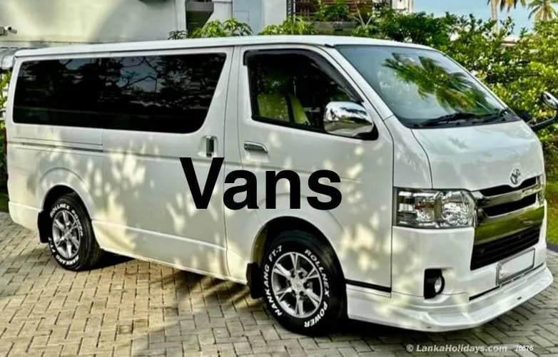 මහා මාර්ග පාතාලයින් එල්ලුම් ගස් යවනු..!