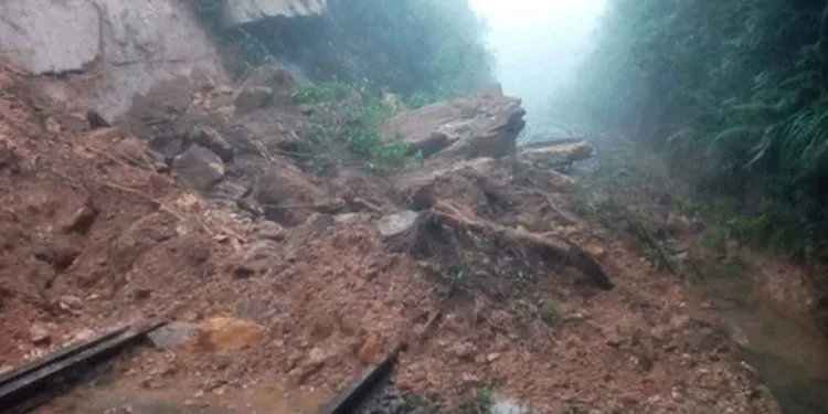 කොච්චි පාරවල් ටික ආයි හදා ගන්න ඊළඟ ආණ්ඩුව එනකන්ම ඉන්න වෙයිද..?