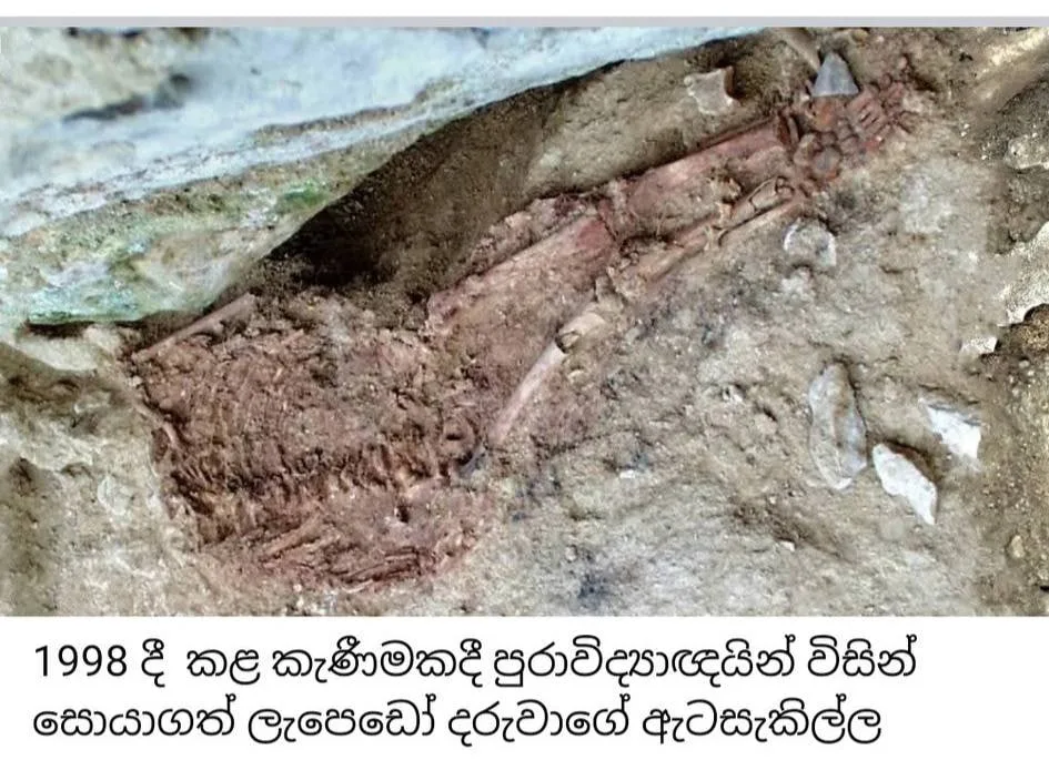 එක දරුවෙක් - විශේෂ දෙකක්