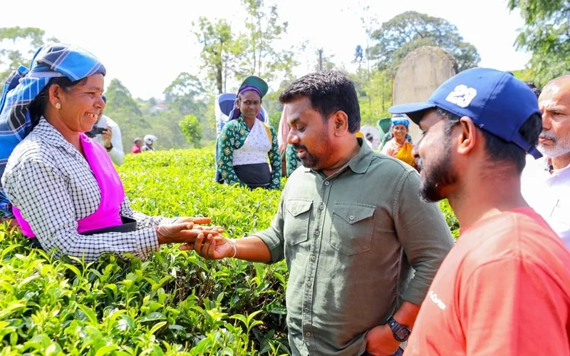කල් පවතින විසඳුම් ඒකපාර්ශ්වික විසඳුම් විය නොහැක