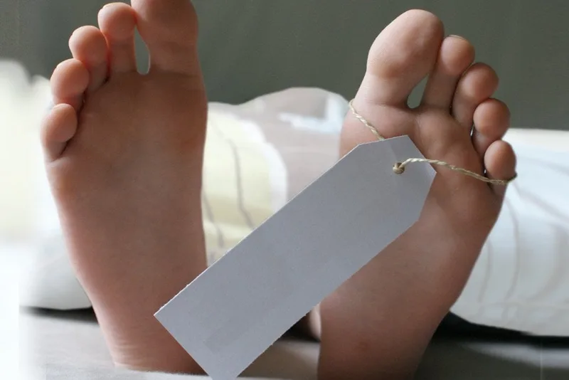 නිවසක් මතට ගසක් කඩා වැටීමෙන් තිදෙනෙක් මරුට