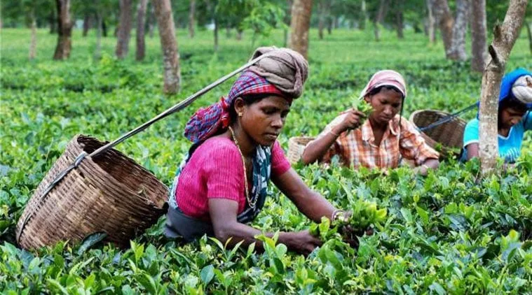 ස්ත්රීන් සේවයේ යෙදවීම..!