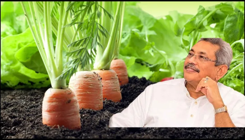 කාබනික කෘෂි අභියෝගය ජය ගන්න ජනපති සූදානම්