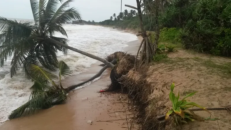 දකුණු පළාතේ මුහුදු වෙරළ - මුහුදට හේදිලා ගිහින්