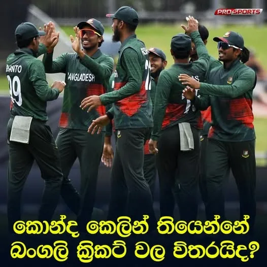 බංග්ලාදේශයට මල් මිටක්