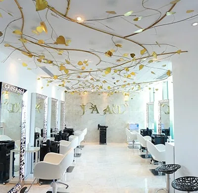 කෝටි 27ක් සජිත් ණය වුණේ කෝටි 35ට ජලනි මිලට ගත් Jaal Salon නිසාද..?