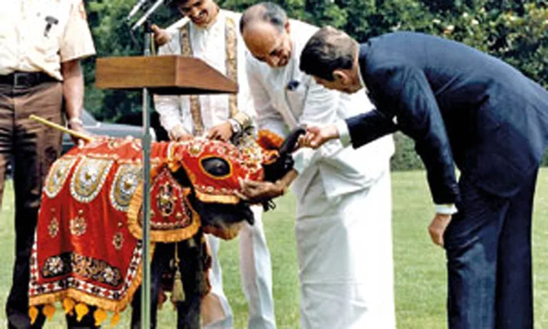 යූඑන්පී අපේක්ෂකයා ‌තෝරන්නේ ‌මෙහෙමෙයි..!