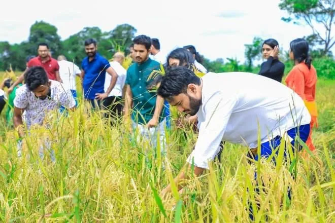 රටේ ආර්ථික අර්බුදය හමුවේ සමාජ සුබසාධනය වෙනුවෙන් ව්යාපාරය මෙහෙයවනවා - Gflock සභාපති