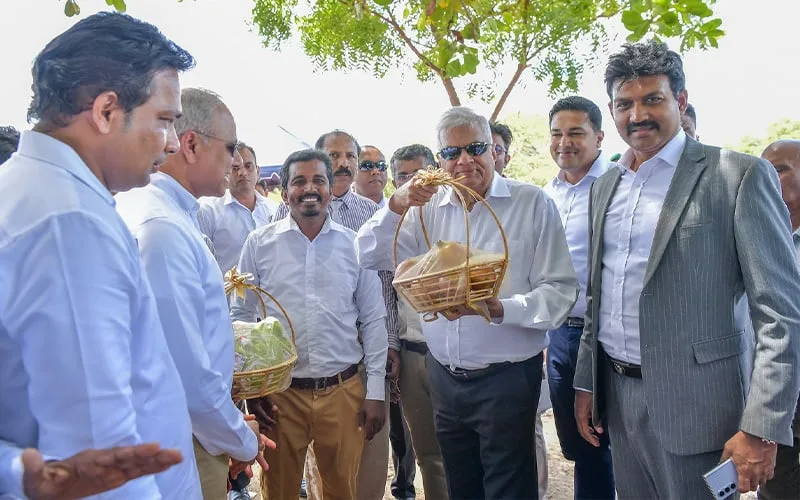 මම රට භාර ගත්තේ ආර්ථිකය අලුතින් ගොඩ නැගීමටයි