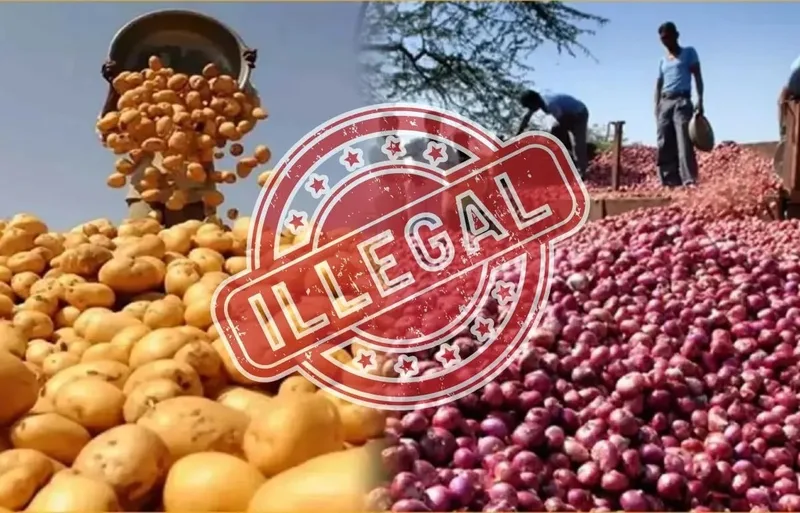 සීනි බදු වංචාවට එහා ගිය අල ලූණු බදු වංචාව මෙන්න..!