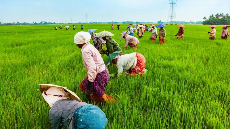 ගොවිතැනට ව්යාපාරික දැක්මක්