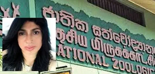 සත්වෝද්යාන දෙපාර්තමේන්තුවේ අධ්යක්ෂ ජේනරාලුත් ඉල්ලා අස්වෙයි