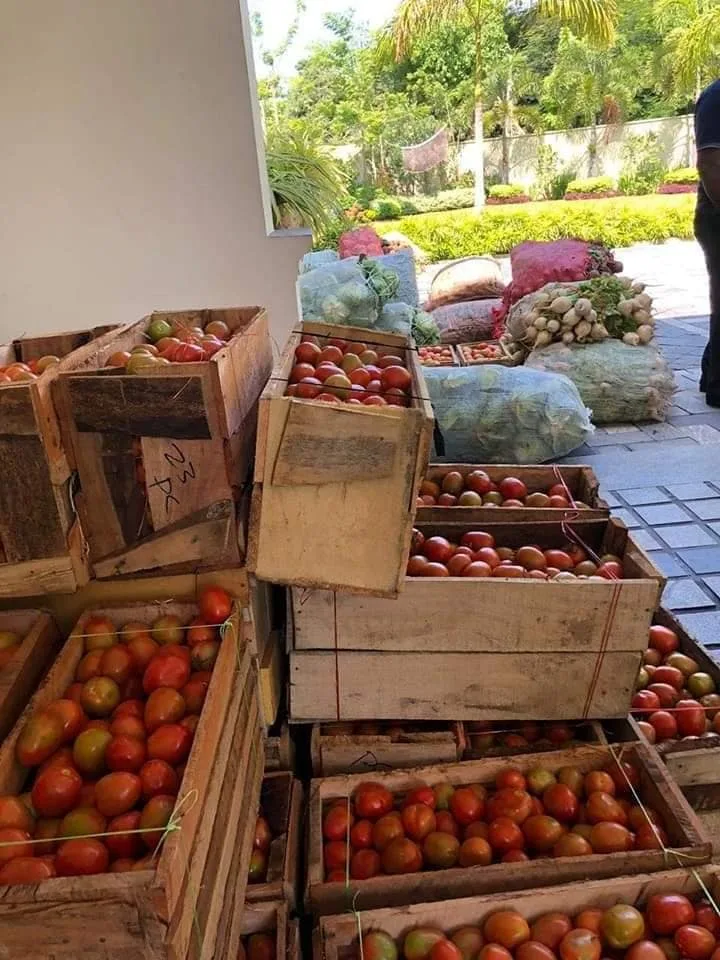 රවීගේ රජ මල්වත්ත ප්‍රාසාදය දාන ශාලාවක් වෙයි