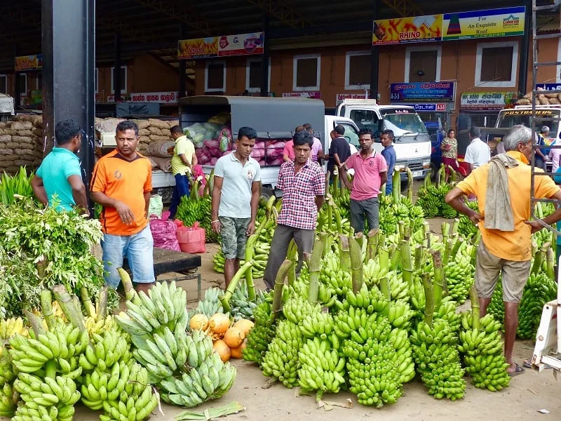 කොරෝනා ඇඳිරියෙන් කැඩෙන සැපයුම් දාම රැකගනිමු