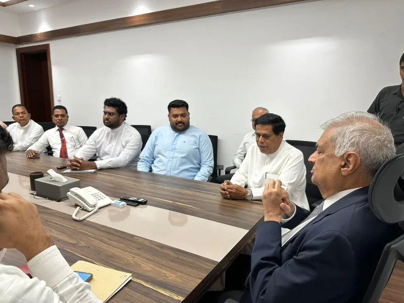 ශ්රී ලංකා නිදහස් පක්ෂයේ ජ්යෙෂ්ඨයෝ දෙදෙනෙක් රනිල්ගේ සහායට