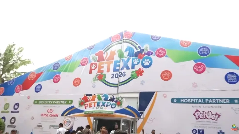 සතුන්ට ආදරය කිරීම හොඳ මානව ගුණාංගයක්