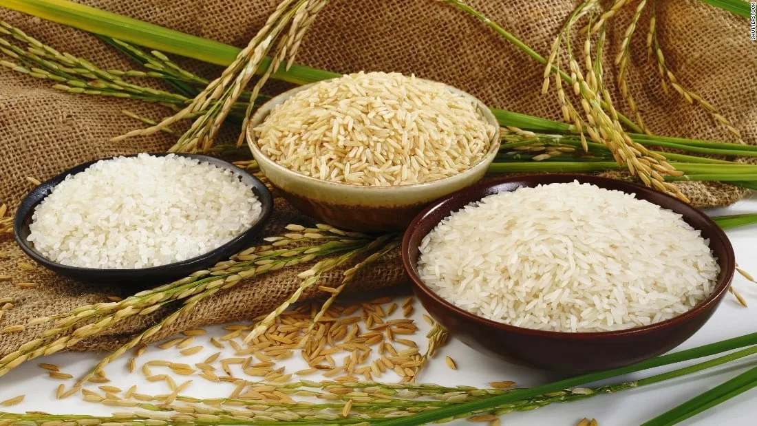 සහල් කර්මාන්තය දියුණු කළ හැක්කේ පිරිවැය මත මිල ගණනය කිරීමෙනි