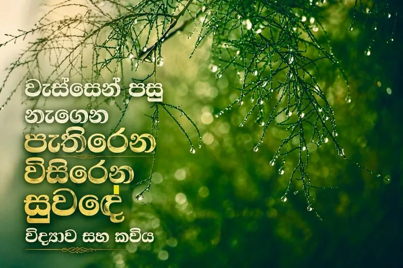 වැස්සෙන් පසු නැගෙන පැතිරෙන විසිරෙන සුවඳේ විද්යාව සහ කවිය.