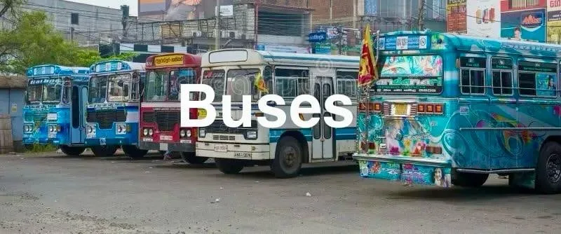 මහා මාර්ග පාතාලයින් එල්ලුම් ගස් යවනු..!