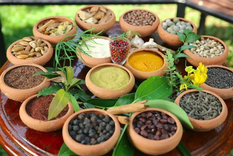 පාරම්පරික වෛද්‍ය ක්ෂේත්‍රය අකර්මණ්‍ය නොකර ශක්තිමත් කිරීම රජයේ වගකීමයි