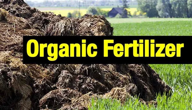 කාබනික කෘෂි අභියෝගය ජය ගන්න ජනපති සූදානම්