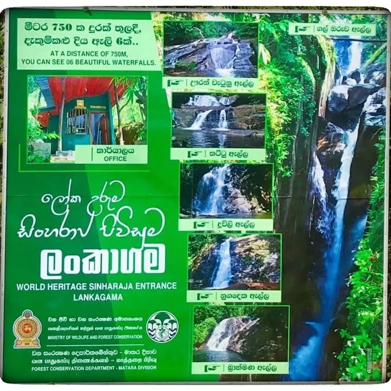 එක දවසින් සිංහරාජ අඩවියේ දිය ඇලි 7ක් බලන්න යමුද..?