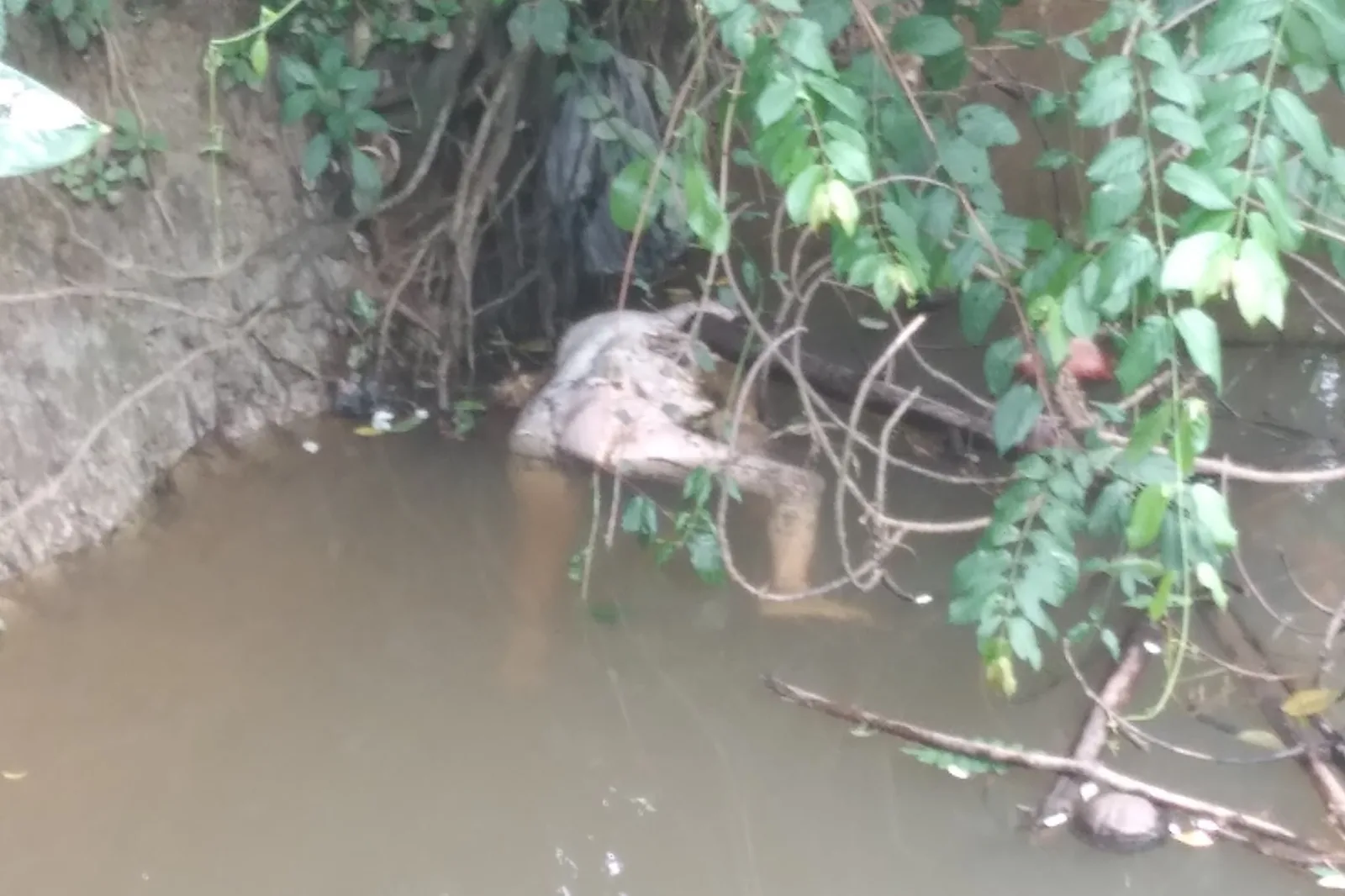 ඇල්පිටියේ පාලමක් යට කාන්තා මල සිරුරක්