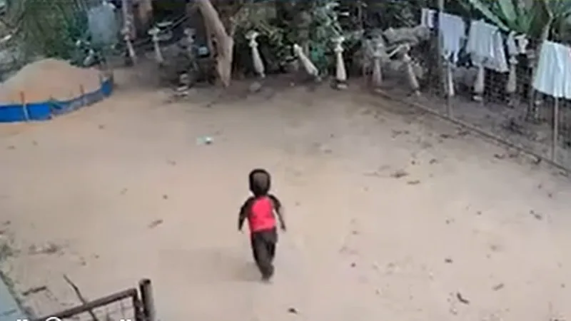 - ඩේ කෙයාර් - දරුවෙක් පොකුණකට වැටී මරුට