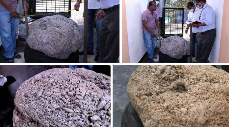 ලොව විශාලතම මැණික් පොකුර විදෙස් වෙන්දේසියකට