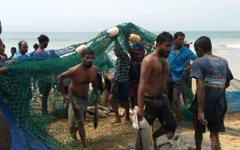 බළපිටිය - මංකඩ මාදැල් වරායේදී ධීවරයින් පිරිසකට රු ලක්ෂ 80ක මාළුන් හසු වෙලා