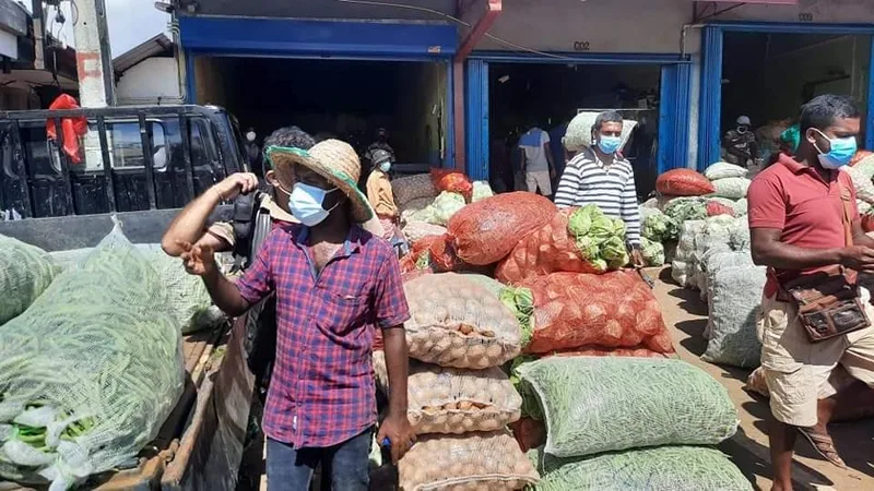 කොළඹ එළවළු කිලෝව 400යි-බදුල්ලේ 30ට වත් විකුණනු බැහැ