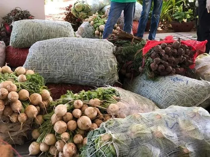 රවීගේ රජ මල්වත්ත ප්‍රාසාදය දාන ශාලාවක් වෙයි