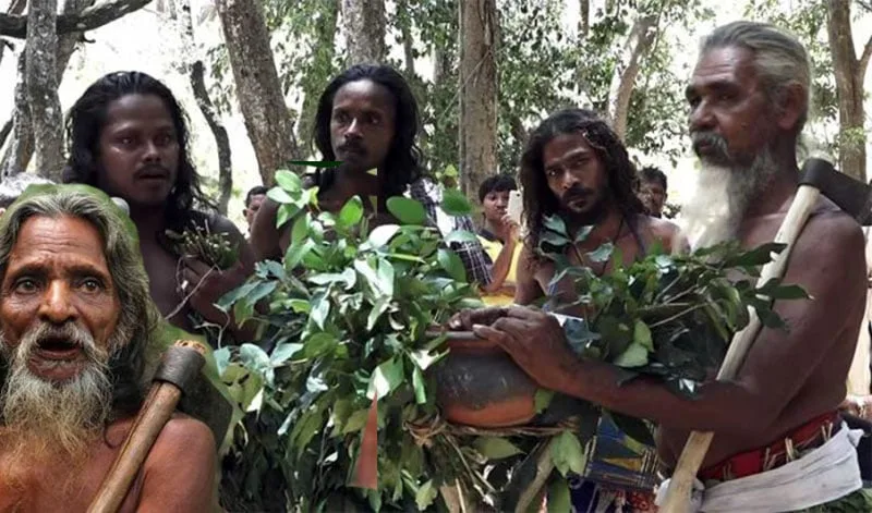 ලෝක ආදිවාසී දිනය අදයි