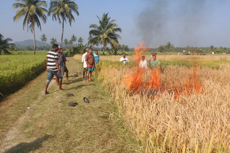 කෘෂි අර්බුදයට විසඳුම් දෙන්න විශේෂඥයින් සාකච්ඡාවක් ඉල්ලයි