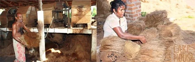 ඩොලර් ප්රශ්නයට කෘෂිකර්ම නවීකරණ ව්යාපෘතියෙන් විසඳුම්