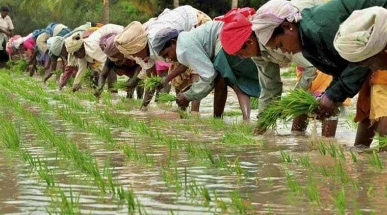 සහල් කර්මාන්තය දියුණු කළ හැක්කේ පිරිවැය මත මිල ගණනය කිරීමෙනි
