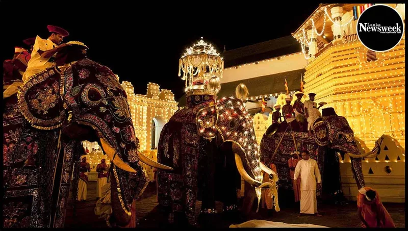මහනුවර ශ්‍රී දළදා පෙරහැර අදින් ඇරඹෙයි..!