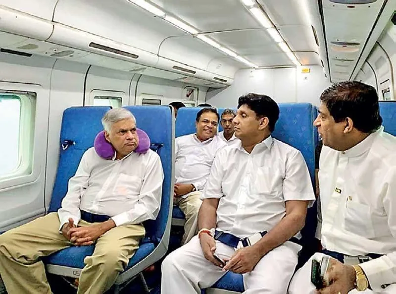 සජබ-එජාප එකතු කර පාර්ලිමේන්තුවේ අලි ගහනය වැඩි කරනවා