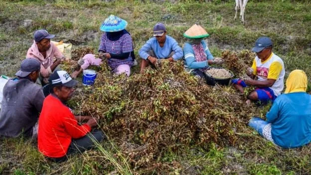 රැකියා මිලියන ගණනක් අනතුරේ - කෝටි පනහක් පුද්ගලයන් දරිද්‍රතාවයට ඇද වැටීමේ ඉඩ කඩ