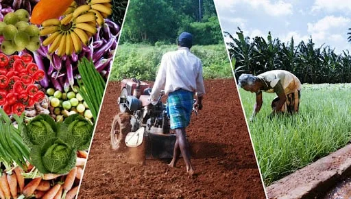ශ්‍රී ලංකාවේ කෘෂි කර්මාන්තය හා අවදානම් කළමනාකරණය