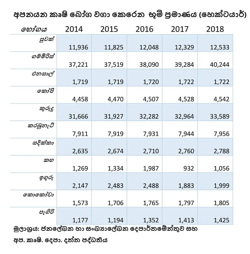 සුළු අපනයන බෝග වගාව යහ පාලනයෙන් ගොඩ ගිය හැටි මෙන්න