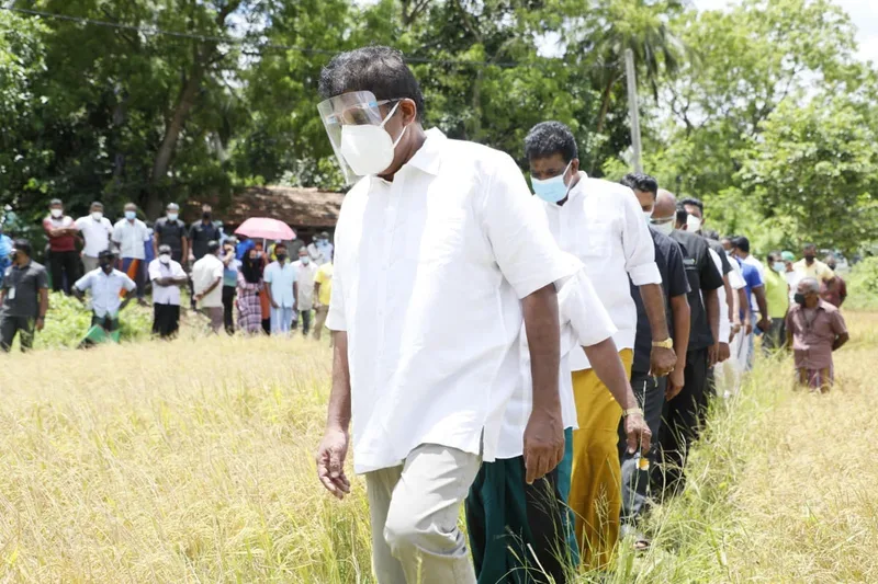සජිත් හම්බන්තොට ගොවි ගැටළු සොයා බලයි