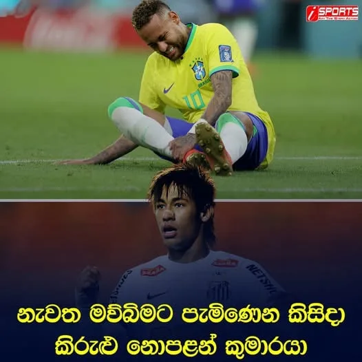 කිරුළු නොපළන් කුමාරයා මව්බිමට සම්ප්රාප්ත වීම
