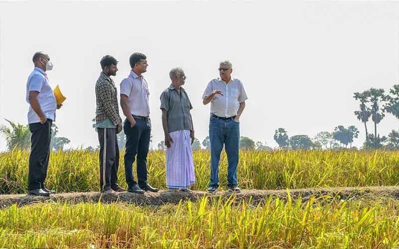 වී කිලෝවක් සඳහා ජනපතිගෙන් රුපියල් 100ක සහතික මිලක්