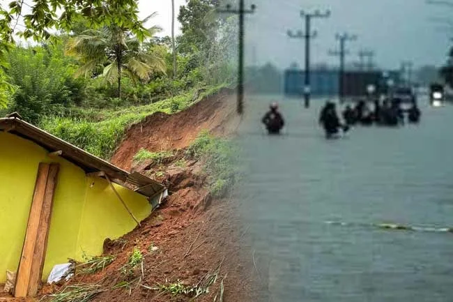ආපදා කළමණාකරණය